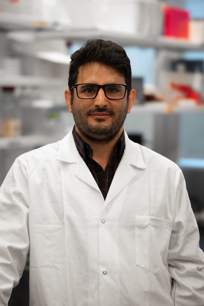 Dr. Javad Sadeghi